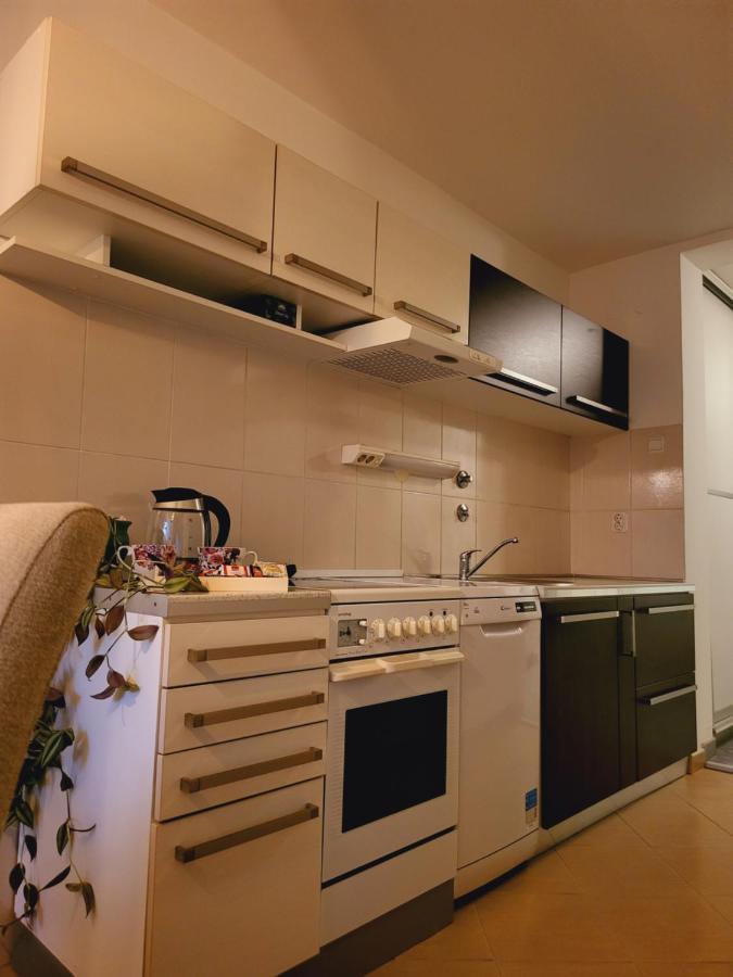 Dolly Apartment Airport Velika Gorica Εξωτερικό φωτογραφία